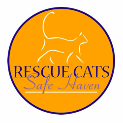 Safe haven cat store rescue