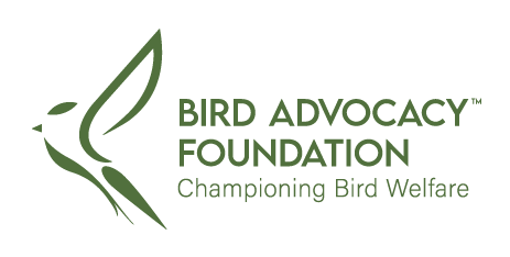 Donate to Bird Advocacy Foundation