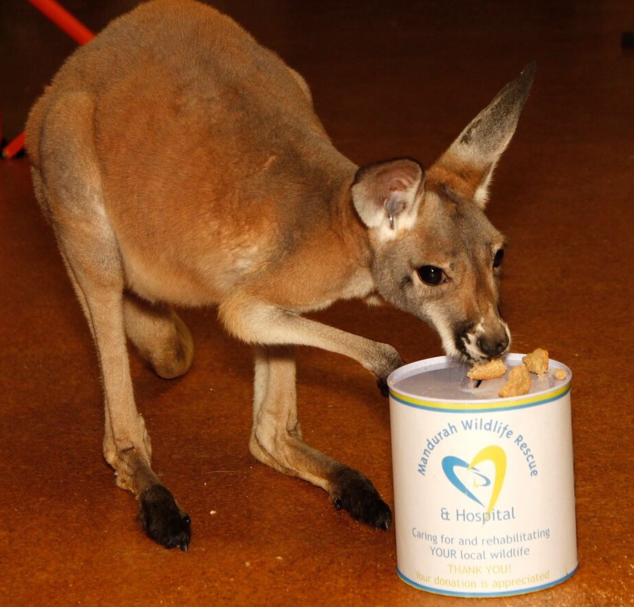 donate-to-mandurah-wildlife-rescue-inc